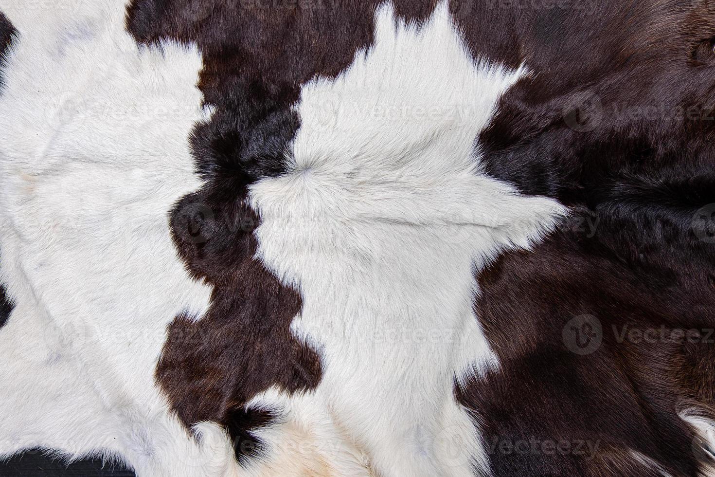 bruine koeienhuid vacht met bont zwart wit en bruine vlekken foto