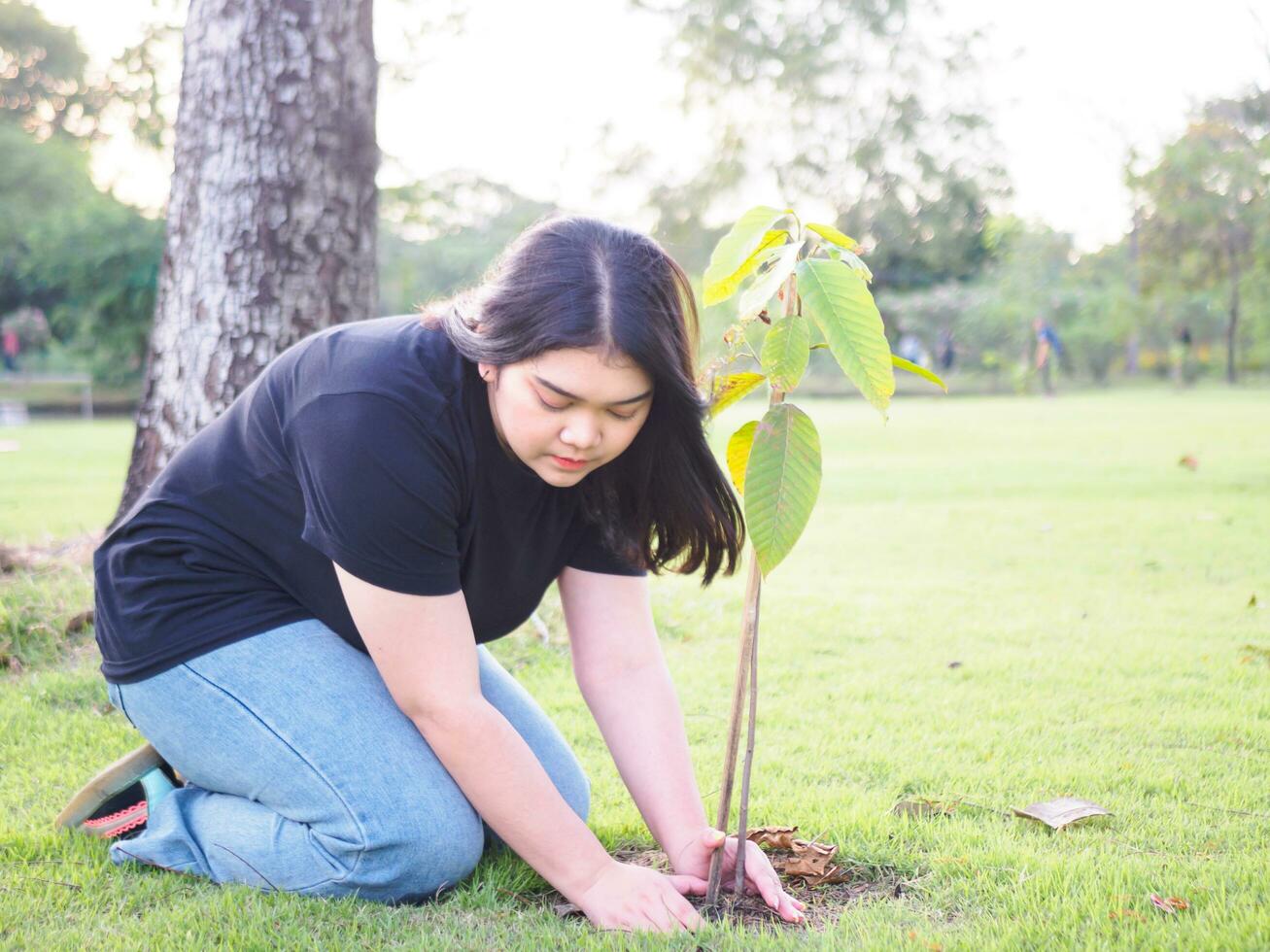 portret van tuinman jong vrouw Aziatisch mollig schattig mooi een persoon op zoek hand- Holding zorgzaam voor planten bladeren tuin park schoonheid bloemen avond zonlicht vers glimlachen gelukkig kom tot rust zomer dag foto