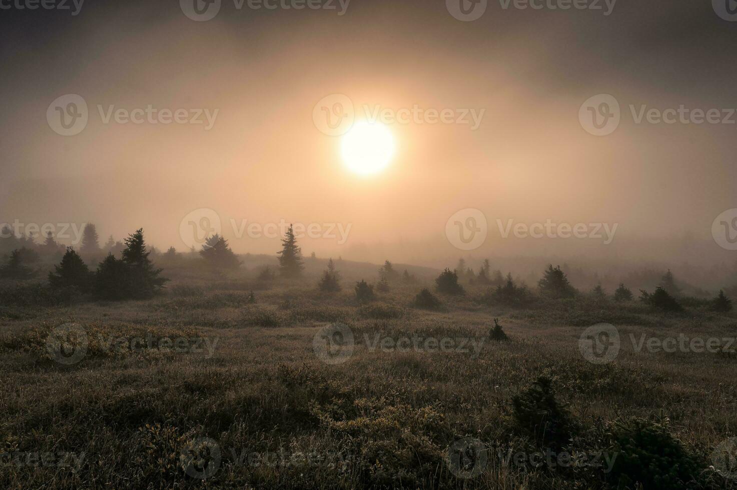 zon Aan heuvel in mistig Aan de ochtend- foto