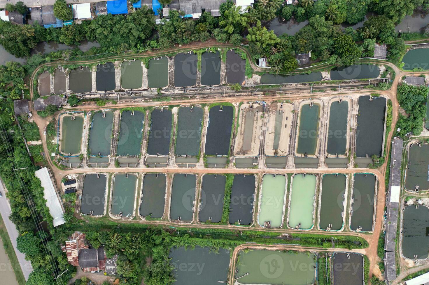 aquacultuur bedrijf van garnaal en vis boerderij en beluchter pomp in gegraven vijver foto