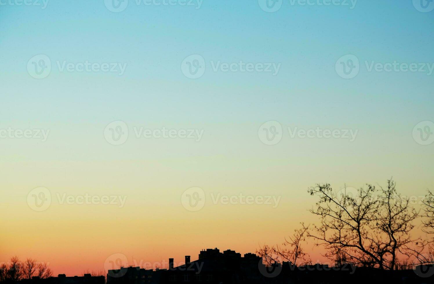 tropisch zee zonsondergang boom lucht visie achtergrond foto