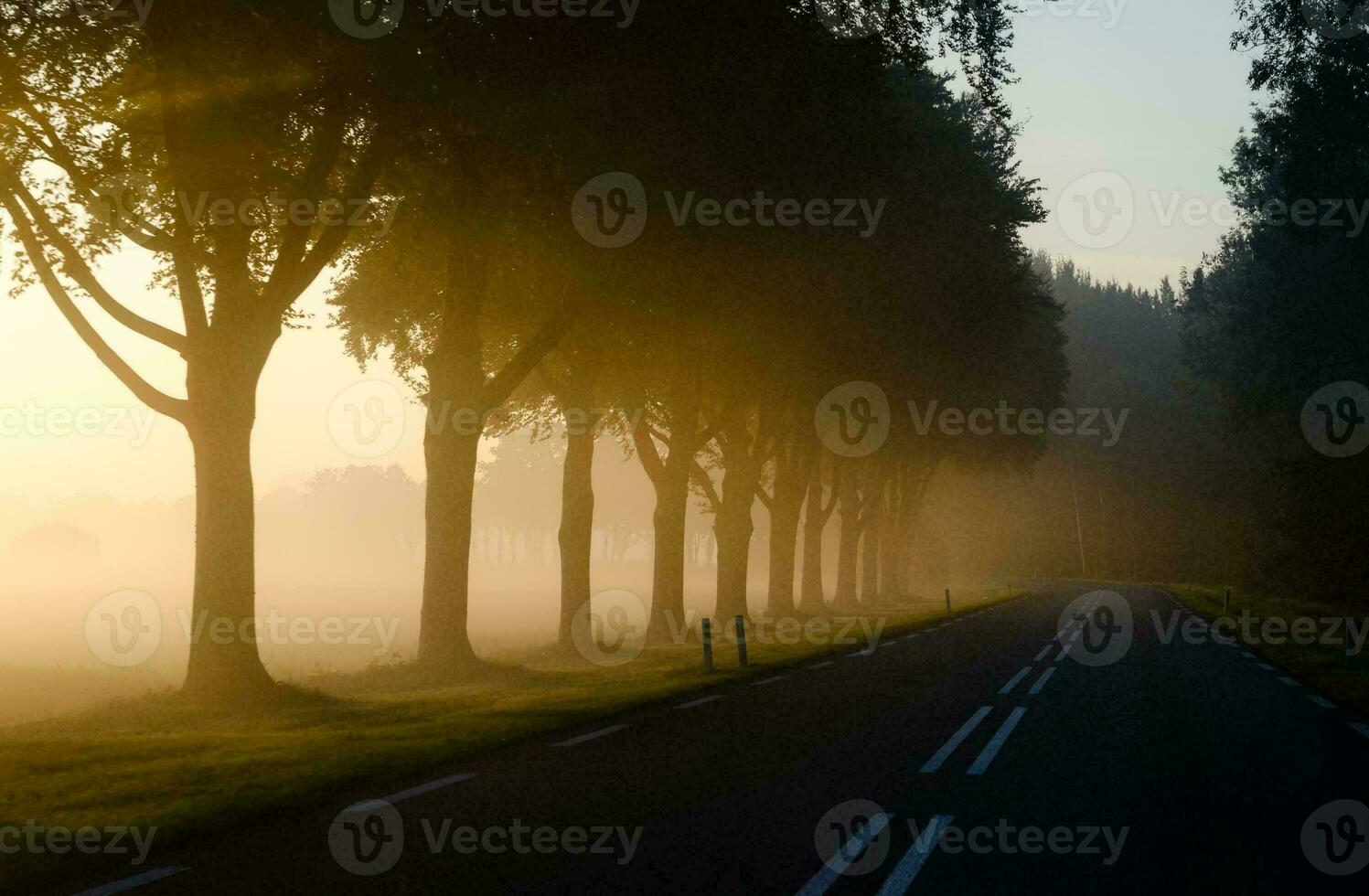 tropisch zee zonsondergang boom lucht visie achtergrond foto