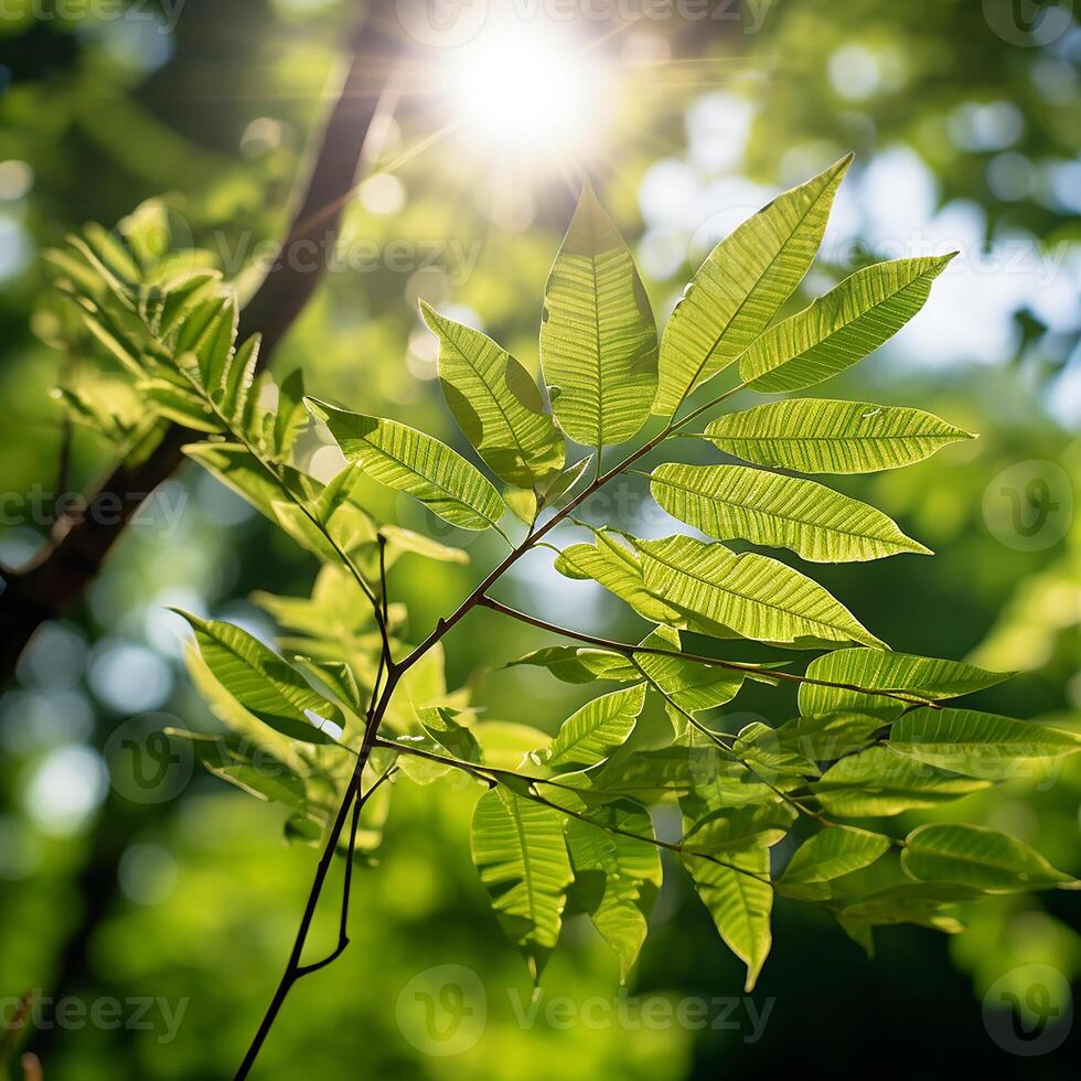 groen bladeren Aan Woud natuur ai generatief foto