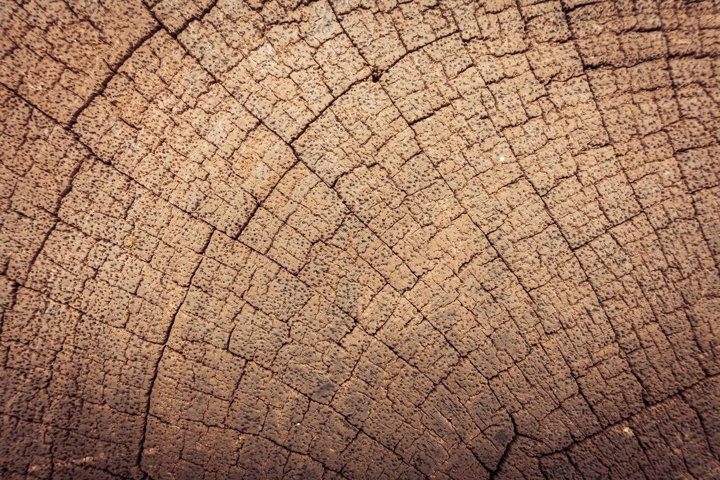 oude houtstructuren foto