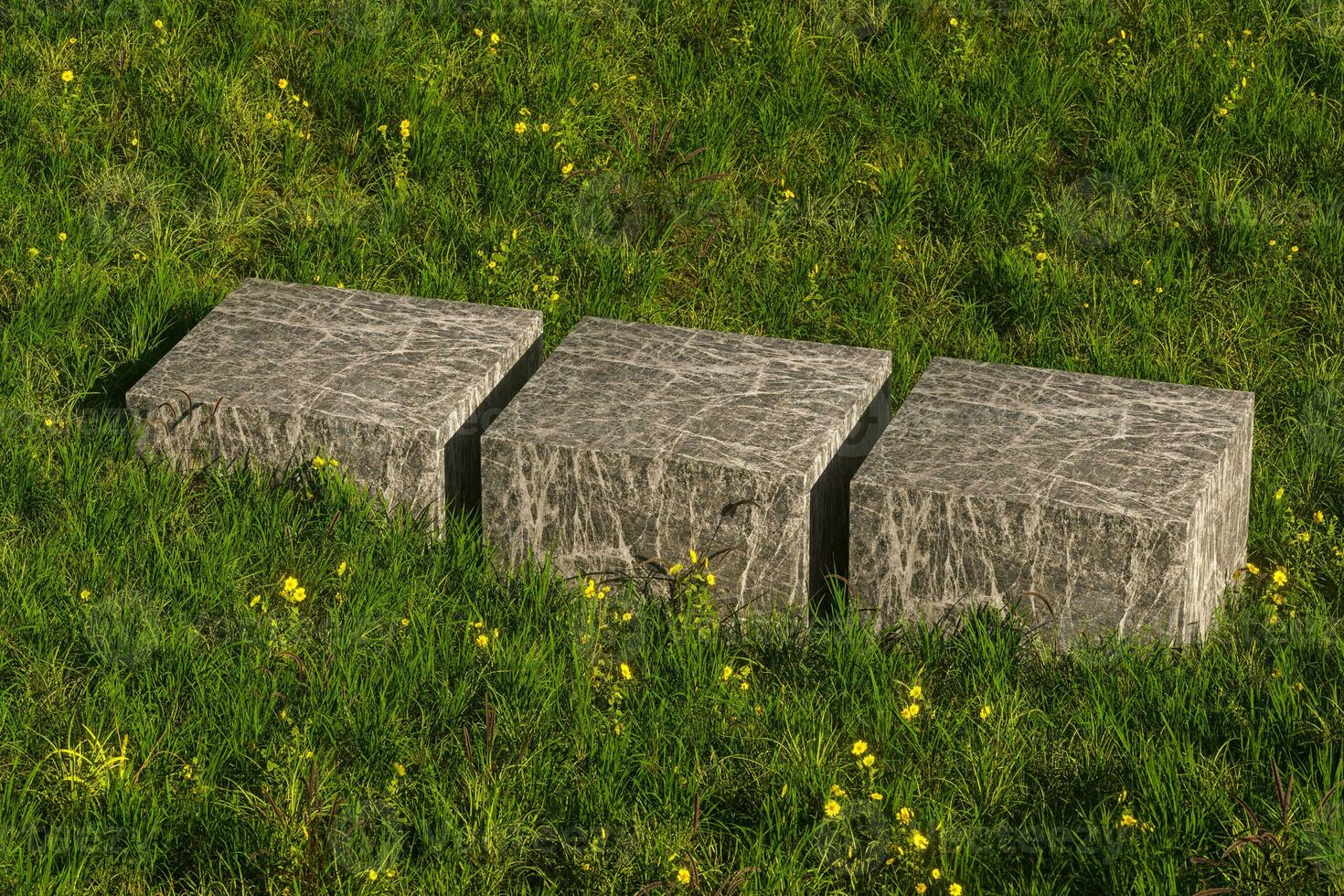 leeg platform in de gras veld, 3d weergave. foto