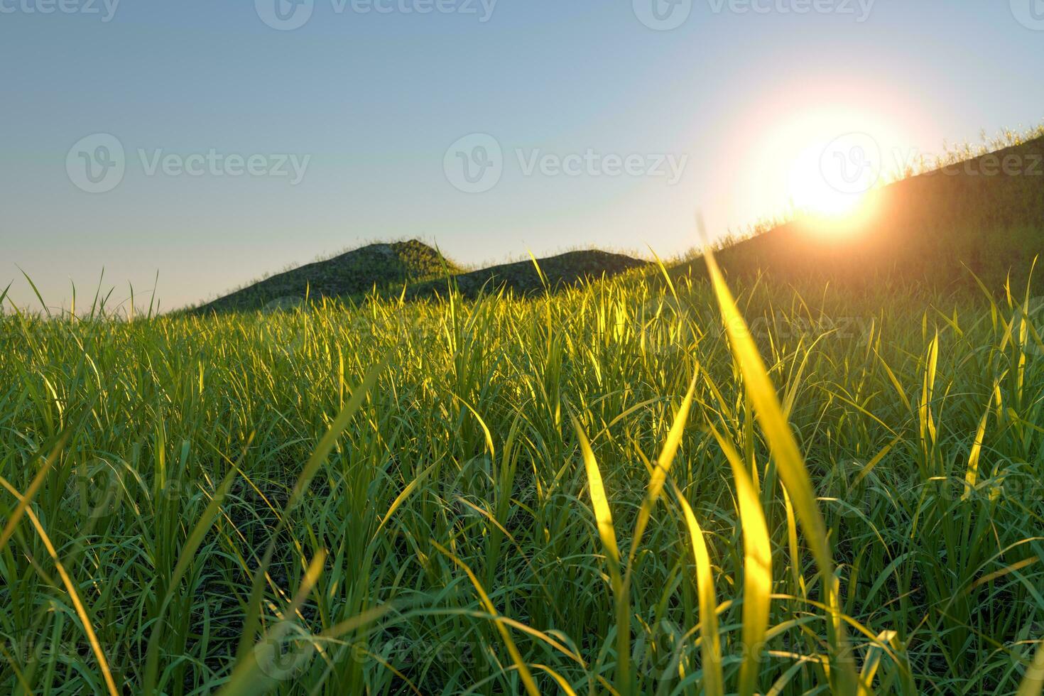 gras veld- en bergen met helder achtergrond,3d weergave. foto