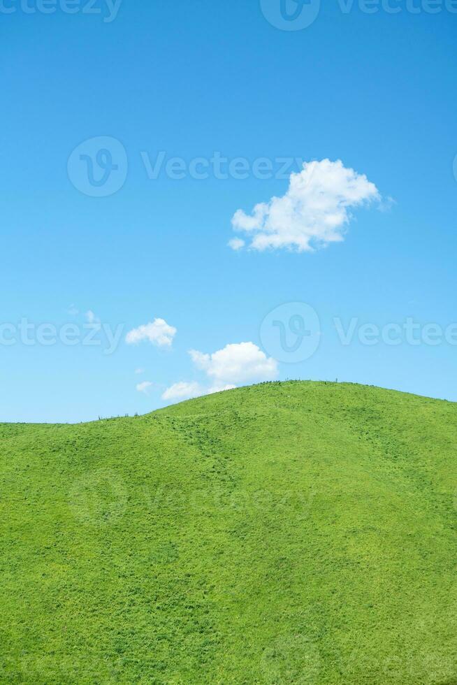 nalati grasland met de blauw lucht. foto
