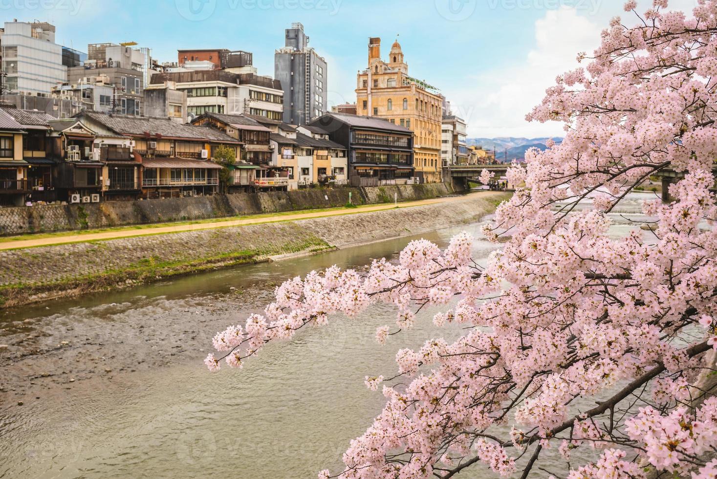 landschap van de rivieroever van de kamo-rivier in kyoto, japan foto