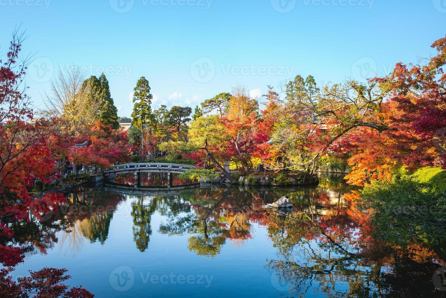 herfstgebladerte bij eikando-tempel in kyoto, japan foto