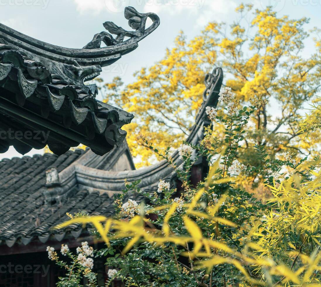 de herfst in de traditioneel park in China foto