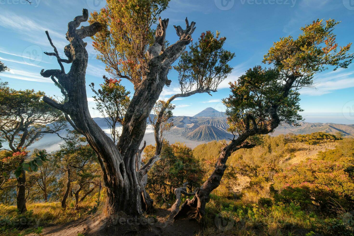 de zonsopkomst van de bromo vulkaan, schot in Java, Indonesië foto