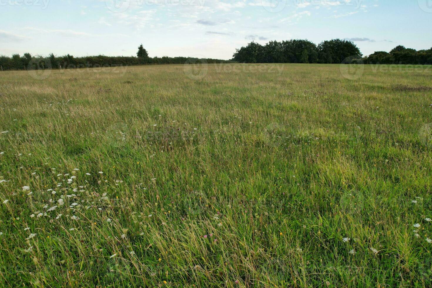 hoog hoek beeldmateriaal van Brits agrarisch boerderijen Bij platteland landschap dichtbij luton stad van Engeland Super goed Brittannië van uk. beeldmateriaal was gevangen genomen met drone's camera Aan augustus 19e, 2023 foto