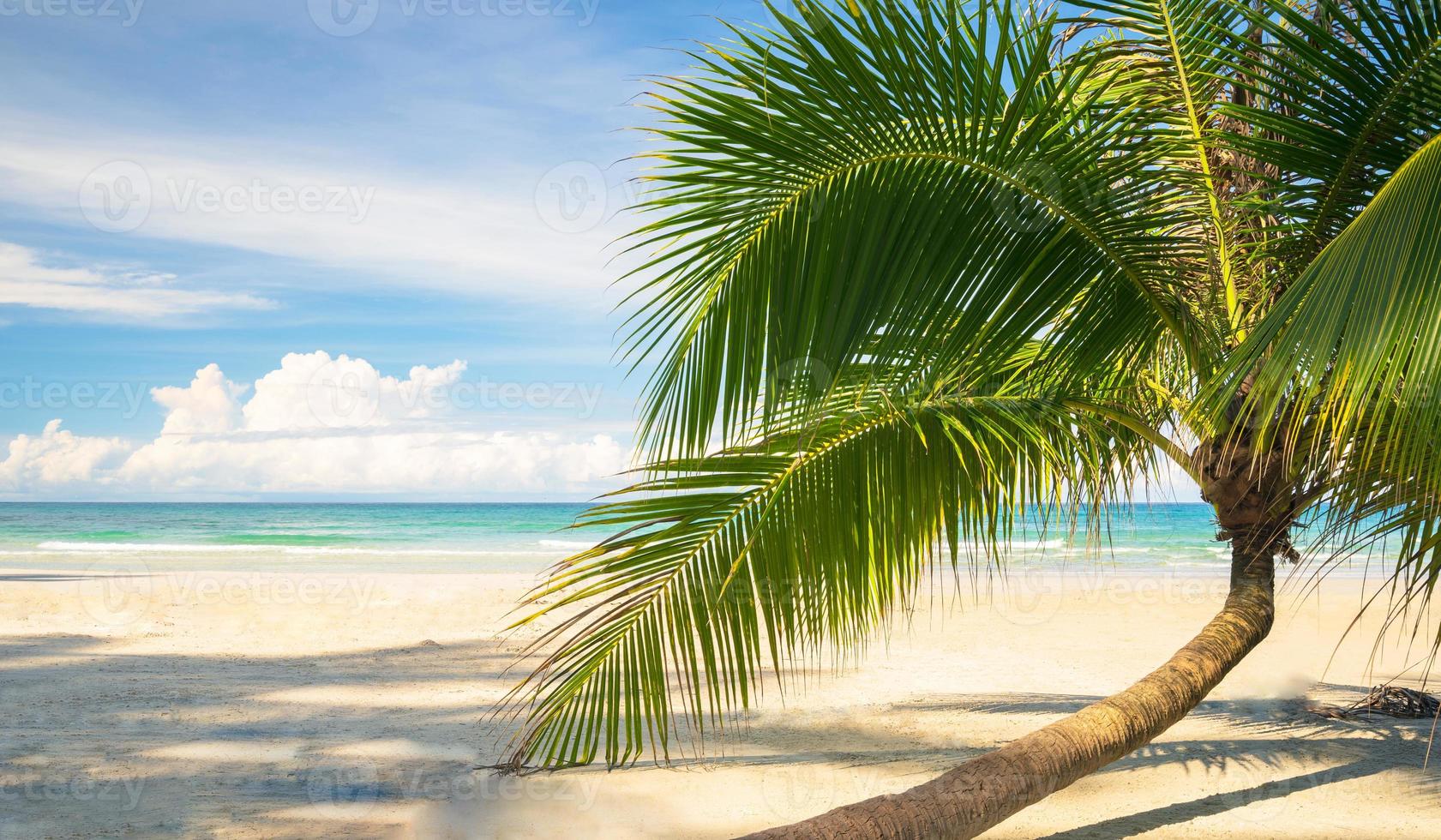 prachtig tropisch strand en zee met kokospalm onder de blauwe lucht foto