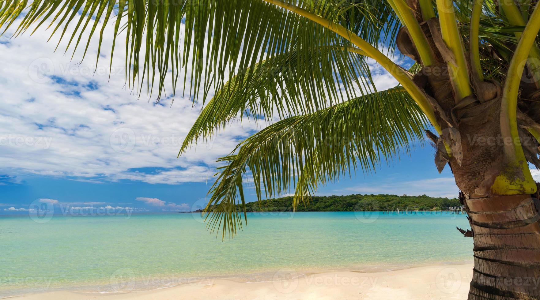 prachtig tropisch strand en zee met kokospalm onder de blauwe lucht foto