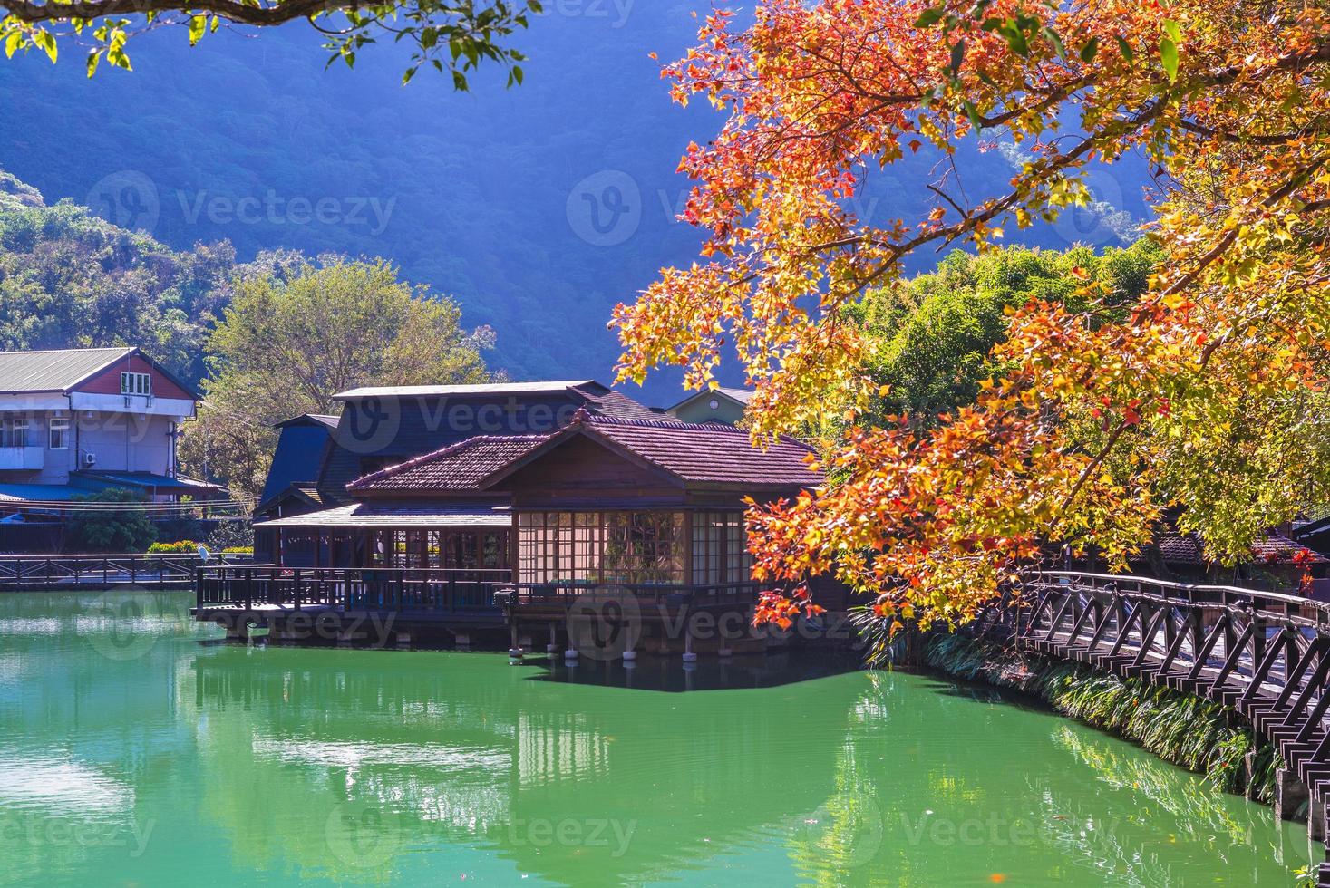 checheng houtvijver, nantou, taiwan foto