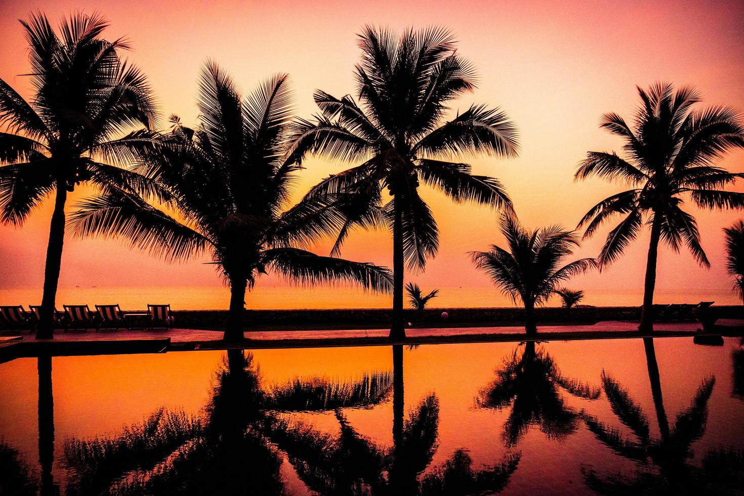 silhouet kokospalm rond buitenzwembad foto