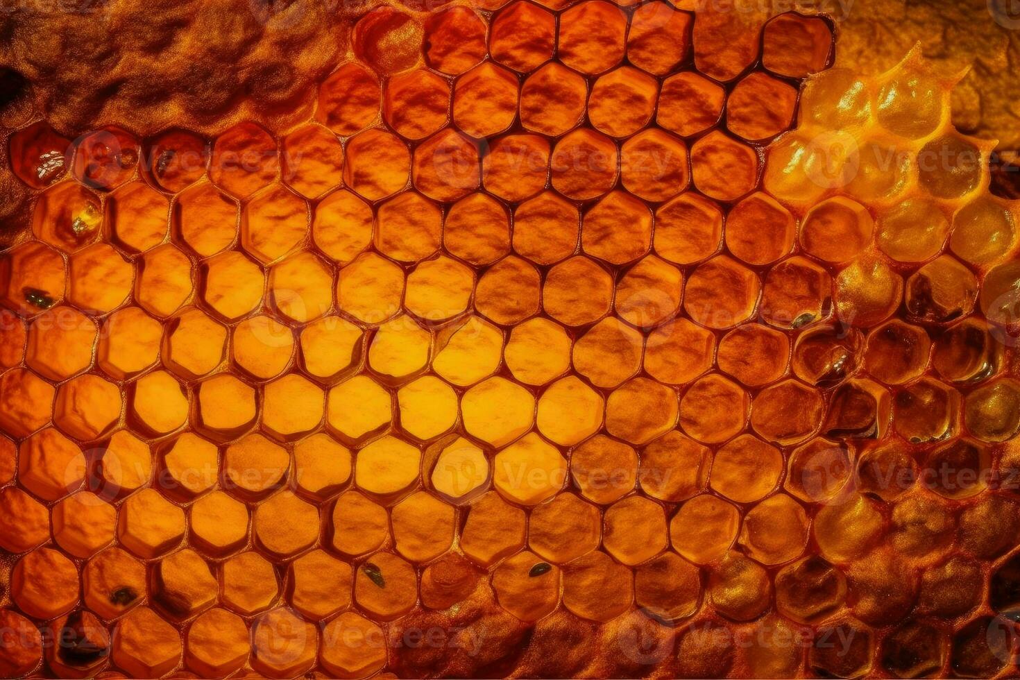 honing cellen en werken bijen ai generatief foto