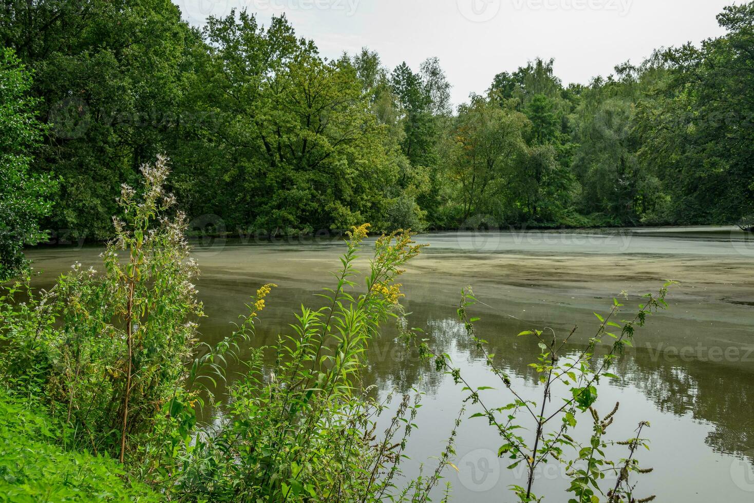 de oud kasteel van rasefeld in Duitsland foto