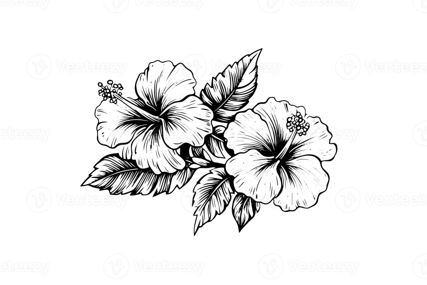 hibiscus bloemen in een wijnoogst houtsnede gegraveerde etsen stijl. vector illustratie. foto