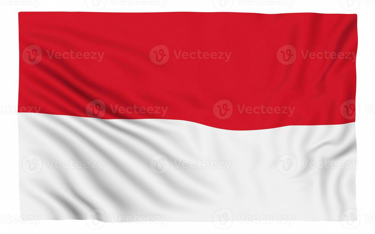 vlag van indonesië foto