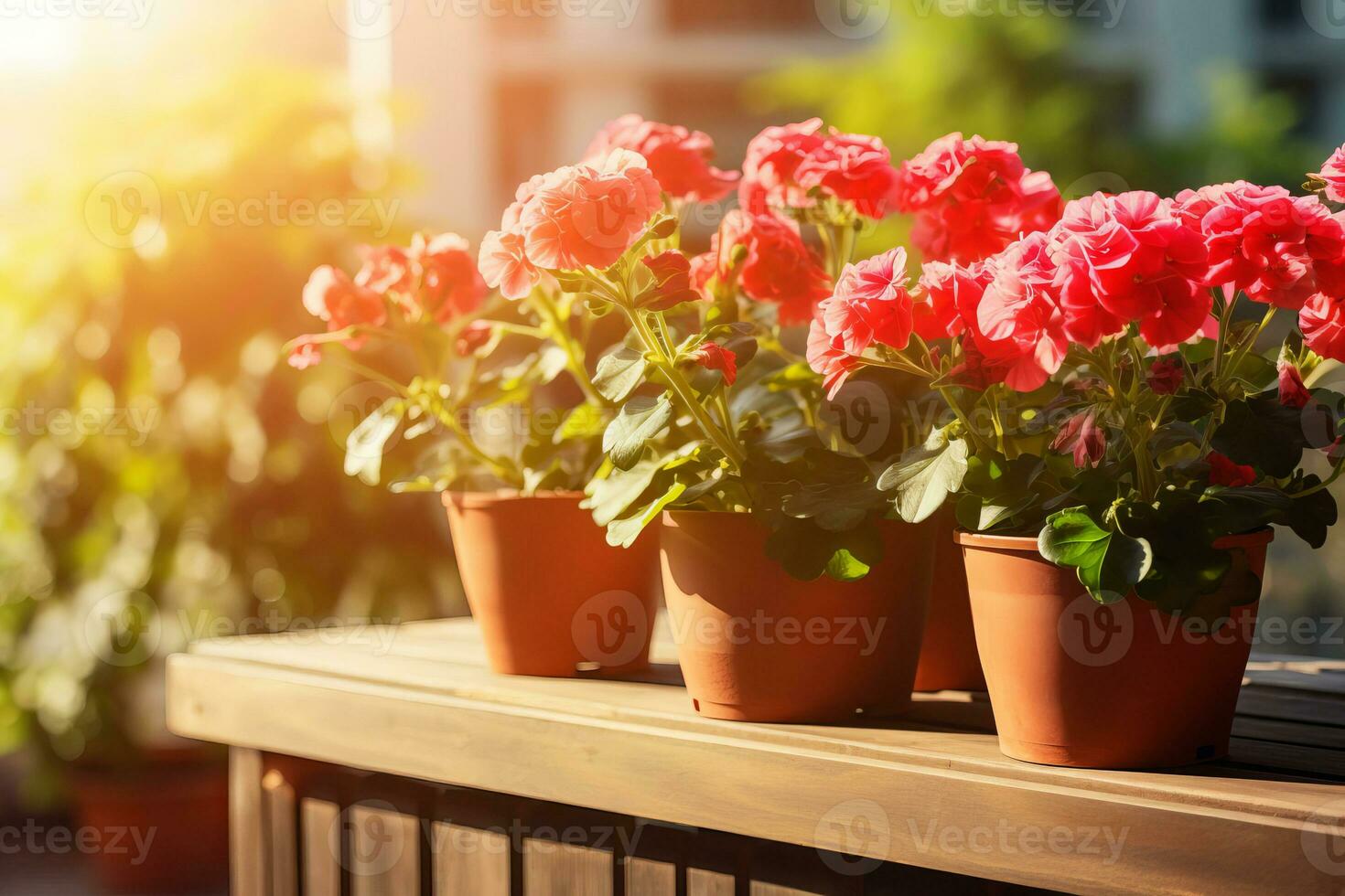 bloeiend ingemaakt planten foto