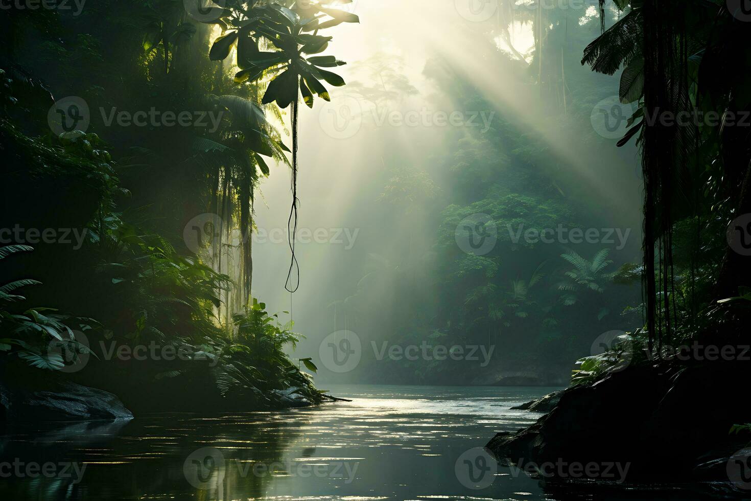 ochtend- zonlicht in de regenwoud foto