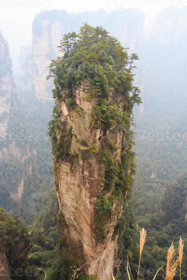 tianzi berg natuurreservaat en mist in china foto
