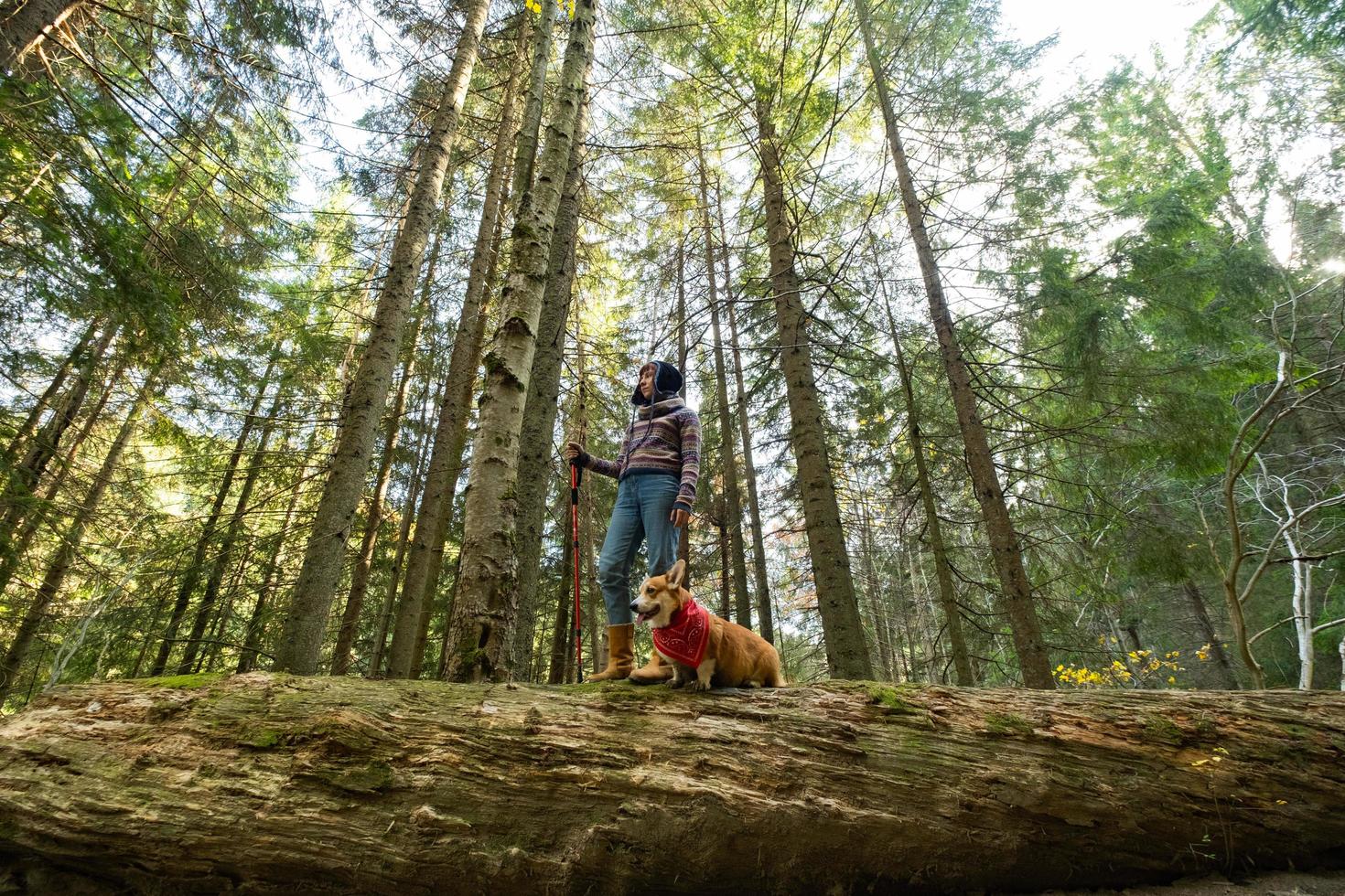 jonge vrouw reiziger met corgi hond in de bergen the foto