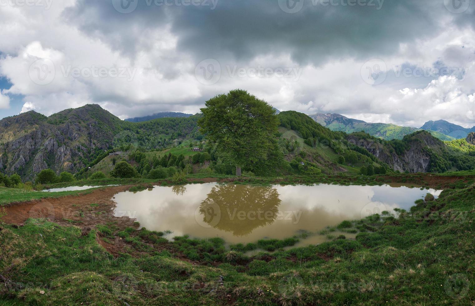 alpenmeer vuil van aarde met gereflecteerde plant foto