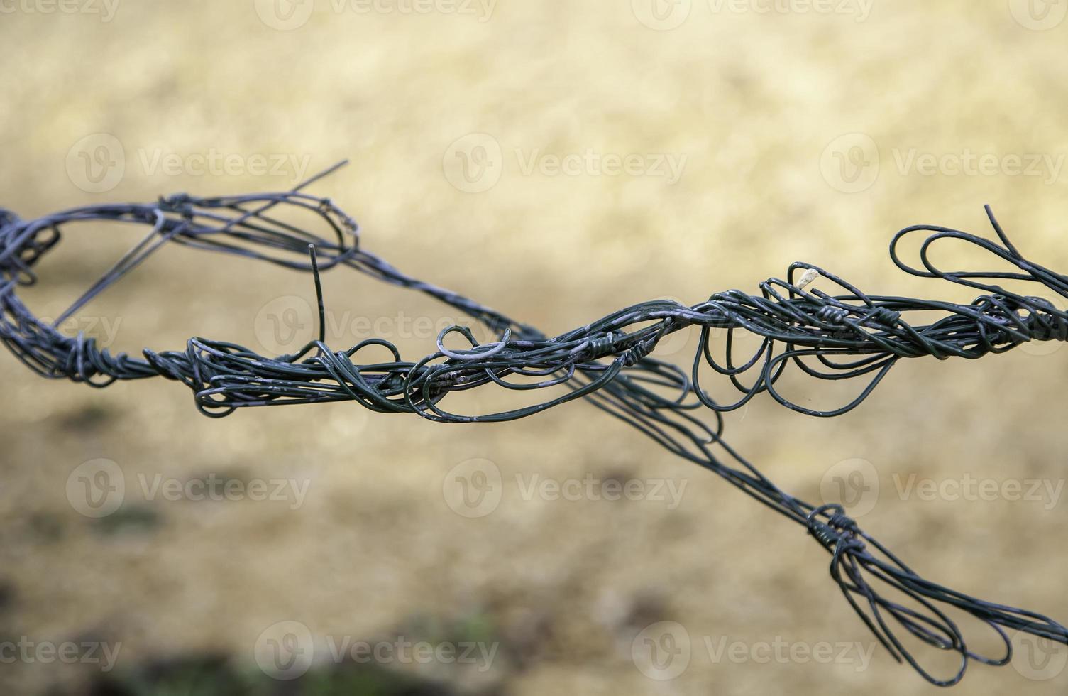 fijne metalen omheining foto