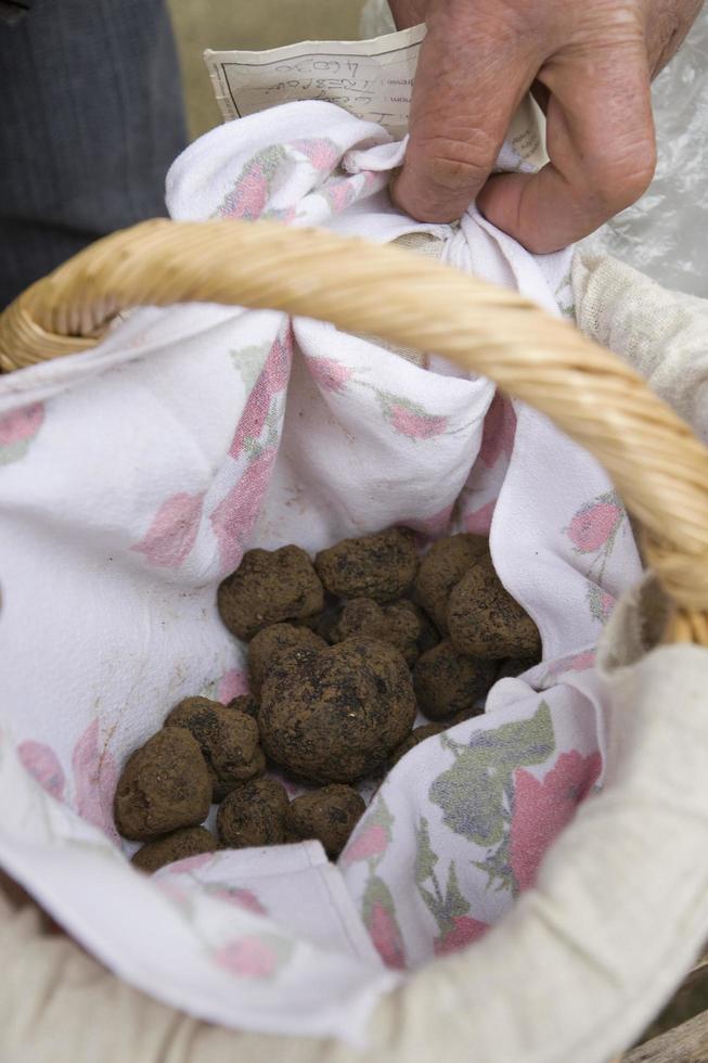 traditionele zwarte truffelmarkt van lalbenque in de perigord, frankrijk foto