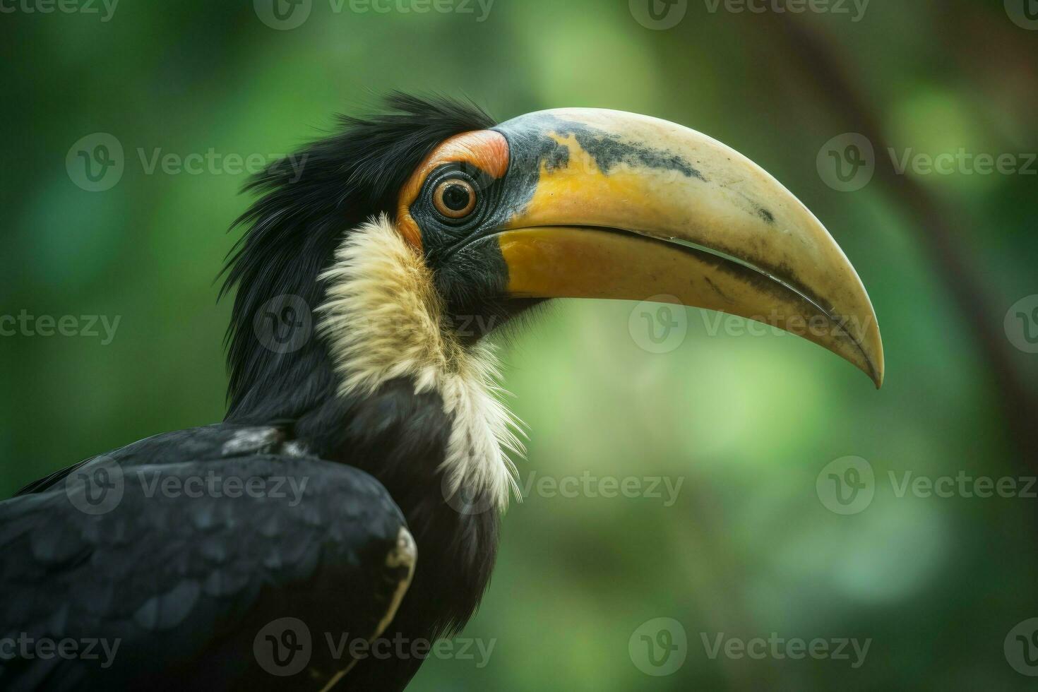 neushoornvogel vogel. genereren ai foto