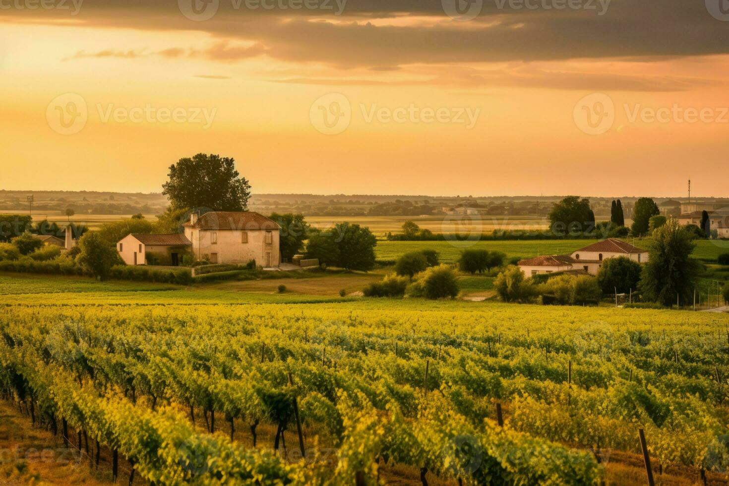 Frankrijk wijngaard landschap rustiek. genereren ai foto
