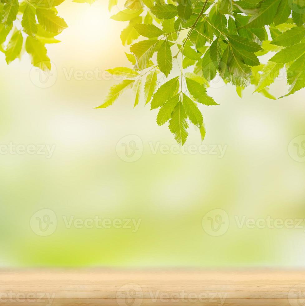 lege tafel en groen vers voor product foto