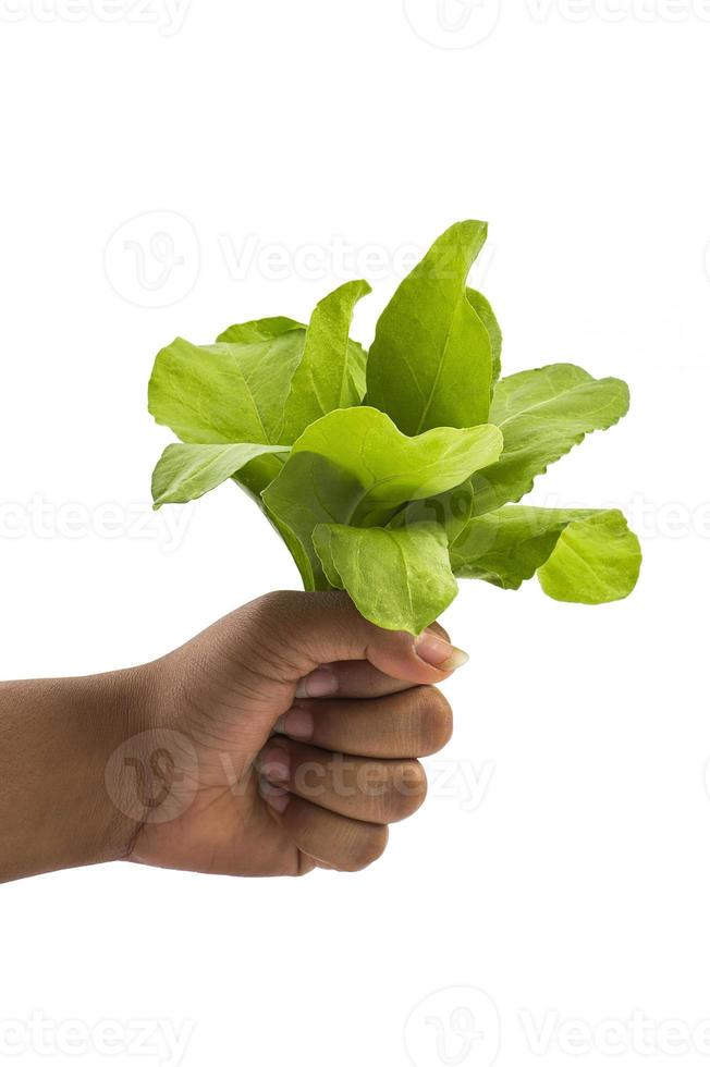 close-up van de hand met spinazie thuis op een witte achtergrond - gezond eten, diëten, vegetarisch eten en mensen concept. foto