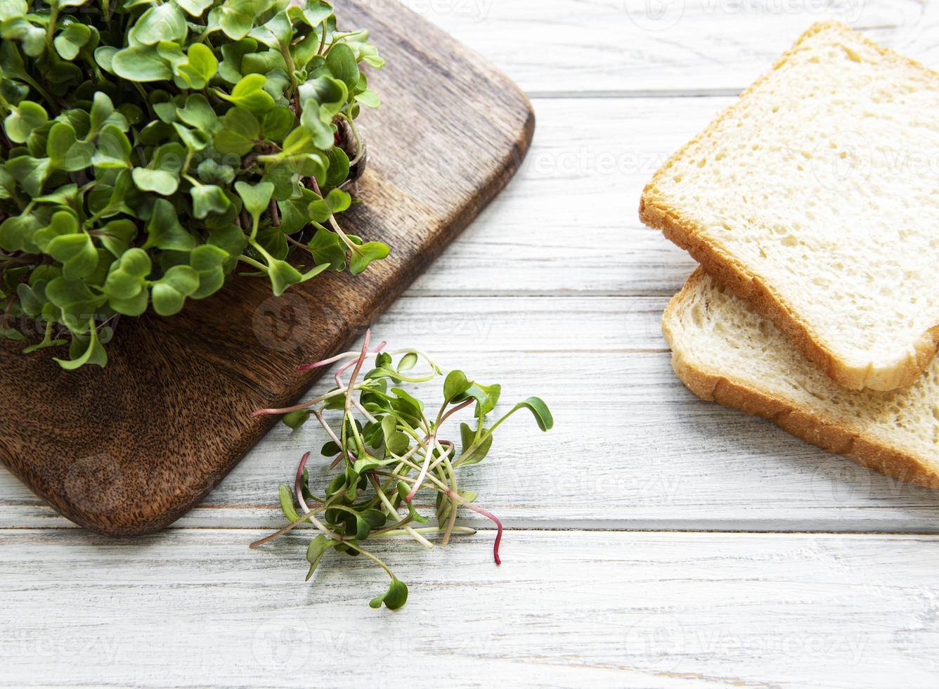 rode radijs microgreens en brood foto