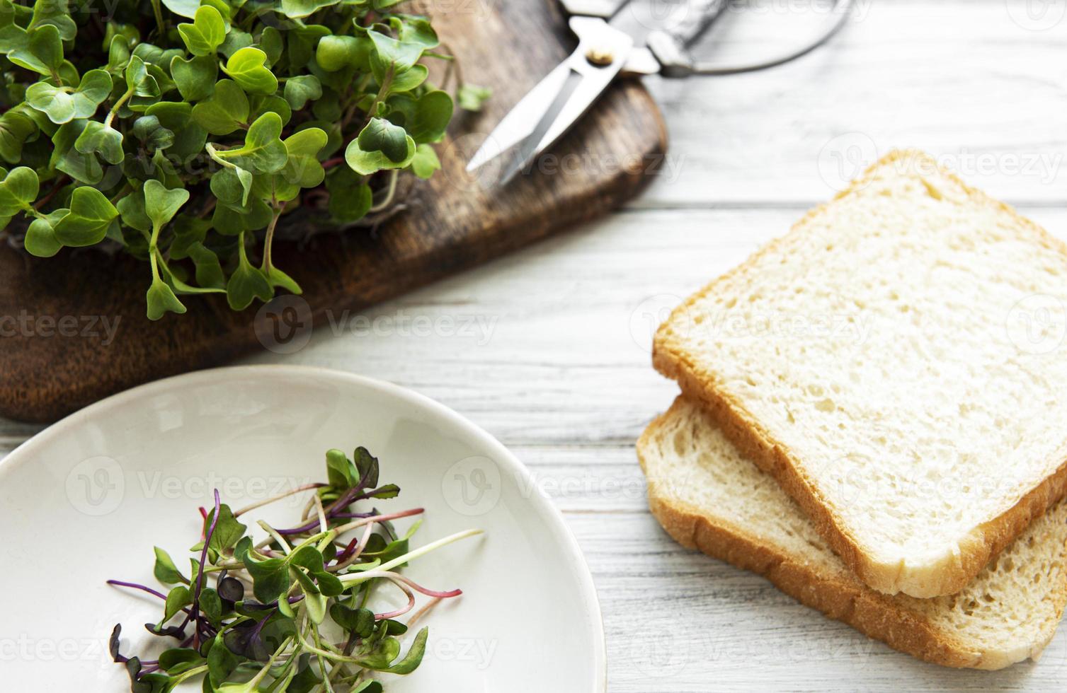 rode radijs microgreens en brood foto