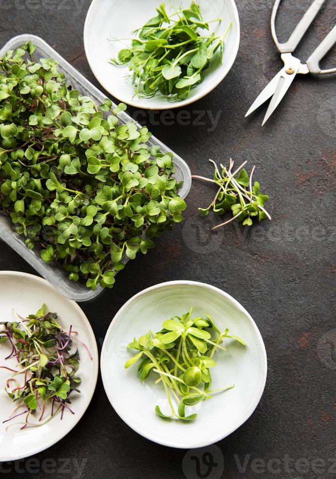 assortiment van micro greens op zwarte achtergrond, kopieer ruimte, bovenaanzicht. foto