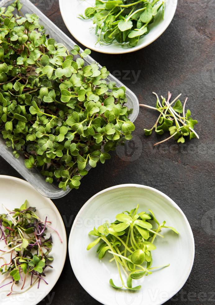 assortiment van micro greens op zwarte achtergrond, kopieer ruimte, bovenaanzicht. foto