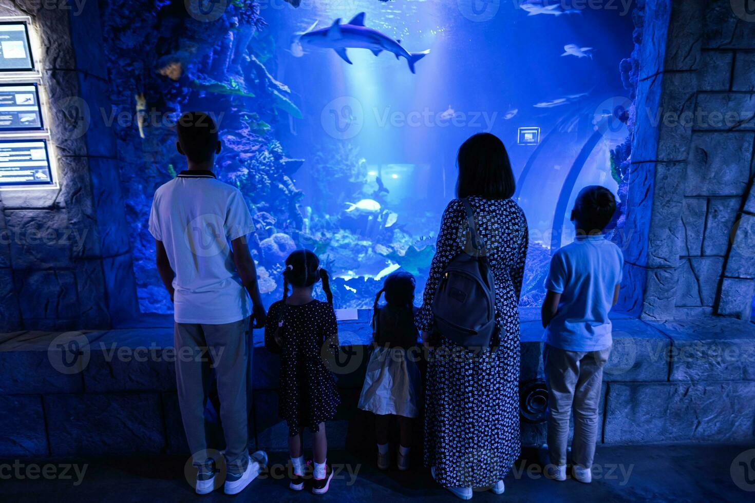 familie op zoek Bij vissen en haai in oceanarium. terug van moeder met kinderen genieten van in oceaan exposeren tank. foto