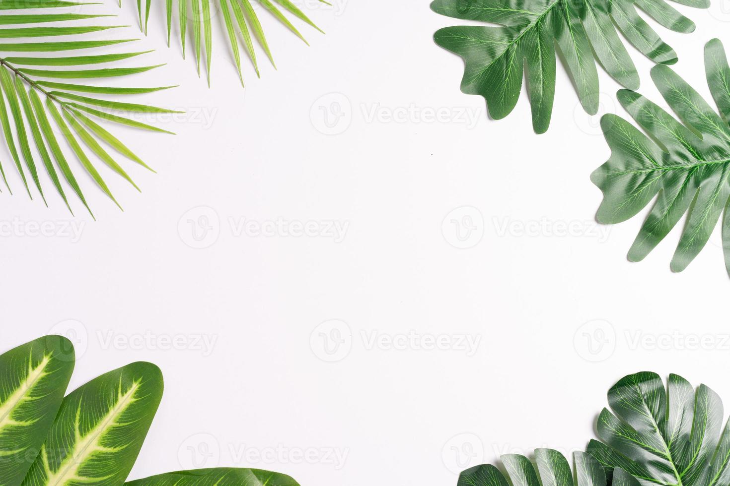 tropische bladeren omlijsten elkaar en laten ruimte ertussen, zomerse achtergrond foto