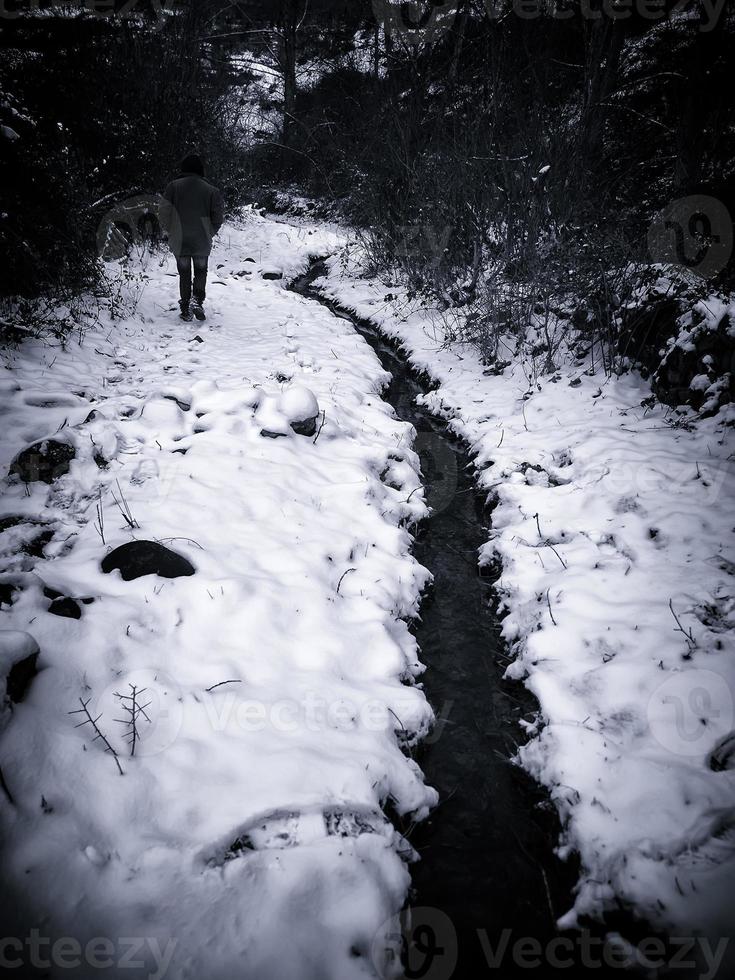 vrouw die sneeuw loopt foto