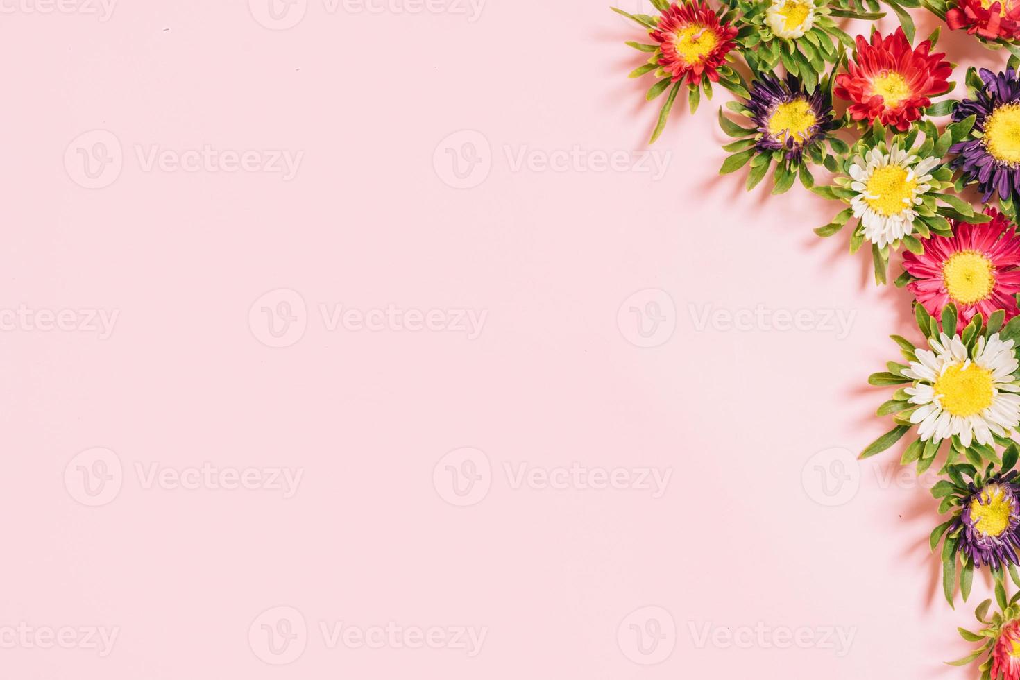 kleurrijke bloemen gerangschikt op een roze achtergrond foto