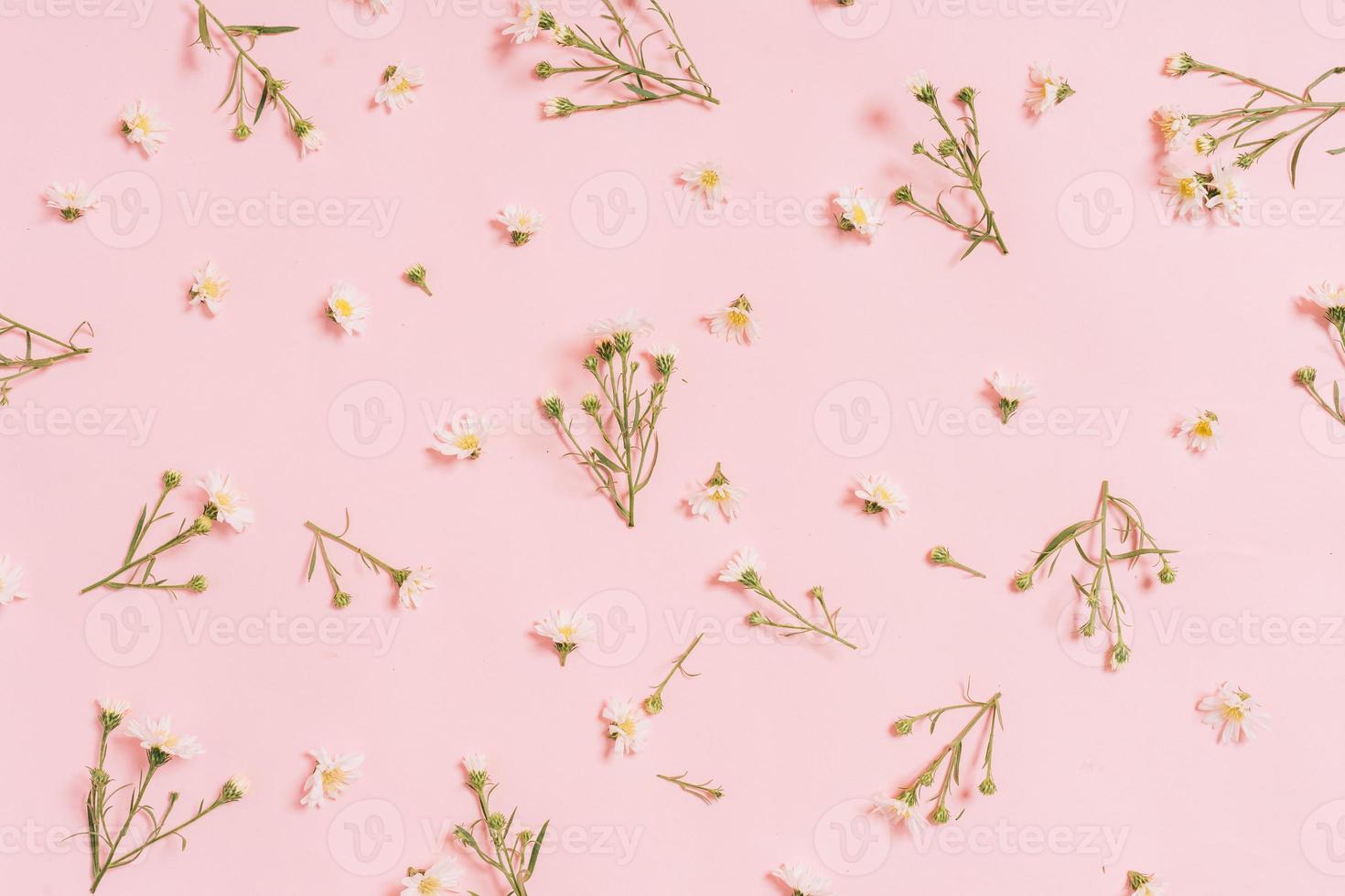 chrysanten gerangschikt op een roze achtergrond foto
