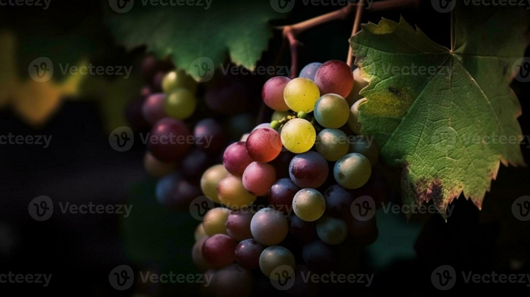 detailopname van een bundel van druiven Aan wijnstok ai gegenereerd foto