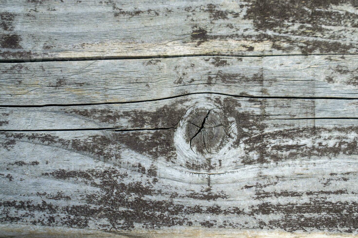 grijs oud hout achtergrond dichtbij omhoog foto