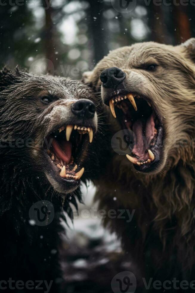 een woest face-off tussen een snauwend wolf en een krachtig beer vastleggen de rauw intensiteit van hun agressief wisselwerking foto