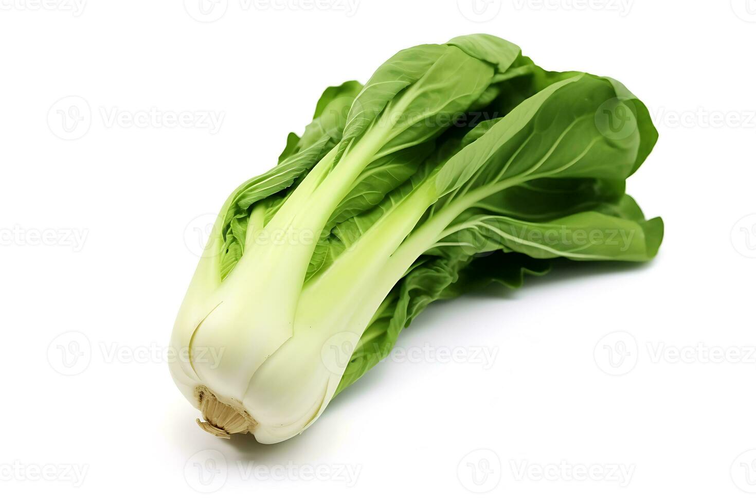bok choy groente geïsoleerd Aan wit achtergrond ai gegenereerd foto