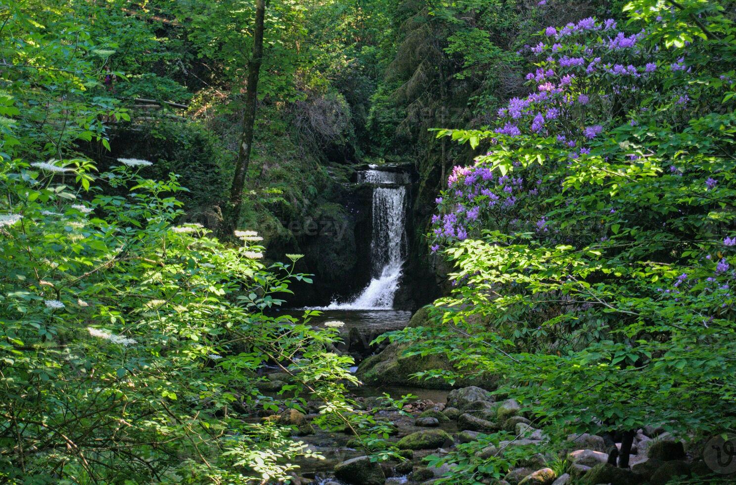 een mooi waterval in de zwart Woud foto