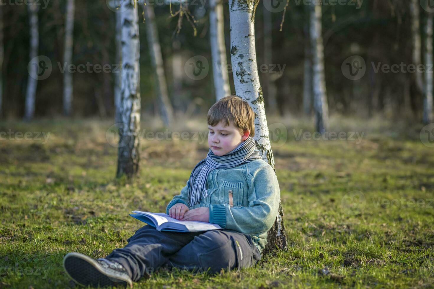 een knap jongen in een sjaal is in een voorjaar park, zittend onder een berk boom, lezing een boek en genieten van zijn dromen. foto